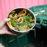 281057168 399512688766677 9150011330154736451 n