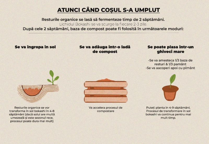 bokashi web cand cosul e plin