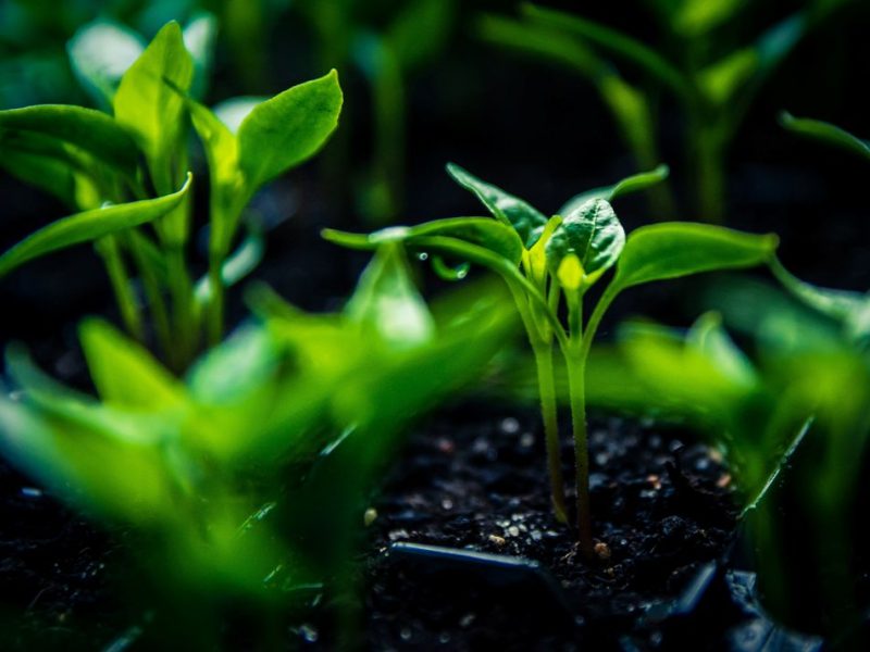 daniel hajdacki 7KC44T7XzxA unsplash