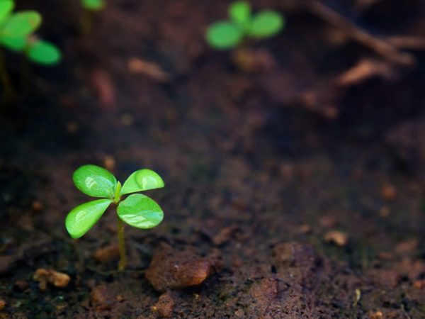 manikandan annamalai 0td83wpjVEI unsplash