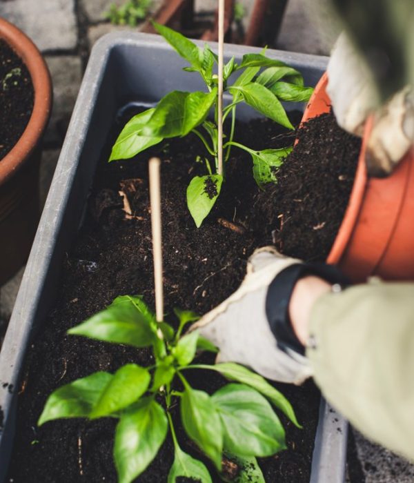 markus spiske ImFFgR9pdEM unsplash