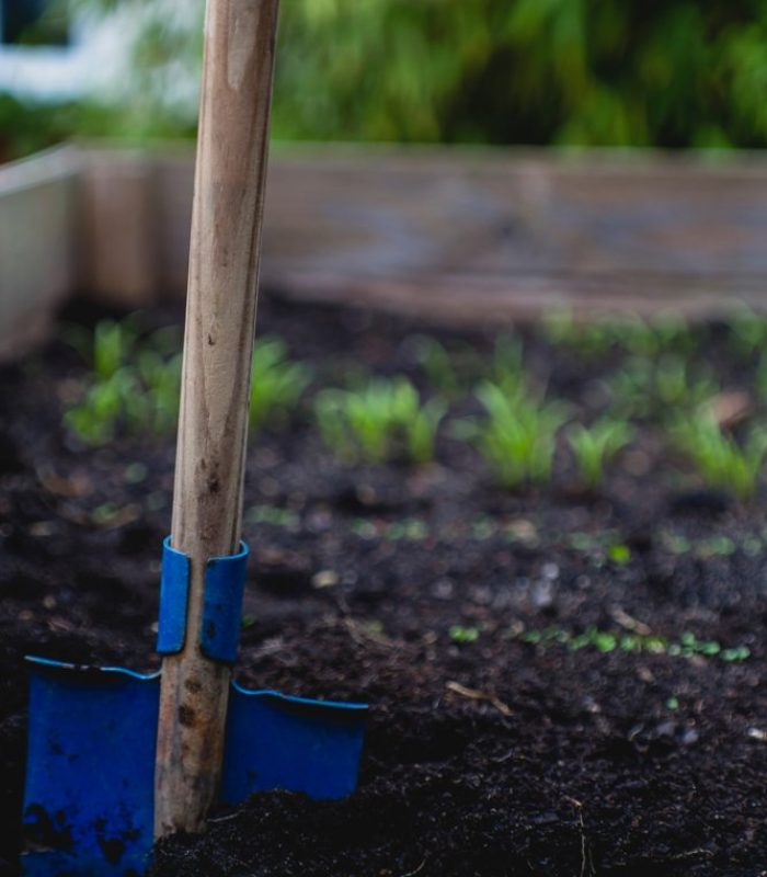 markus spiske pASHRAKiDeU unsplash